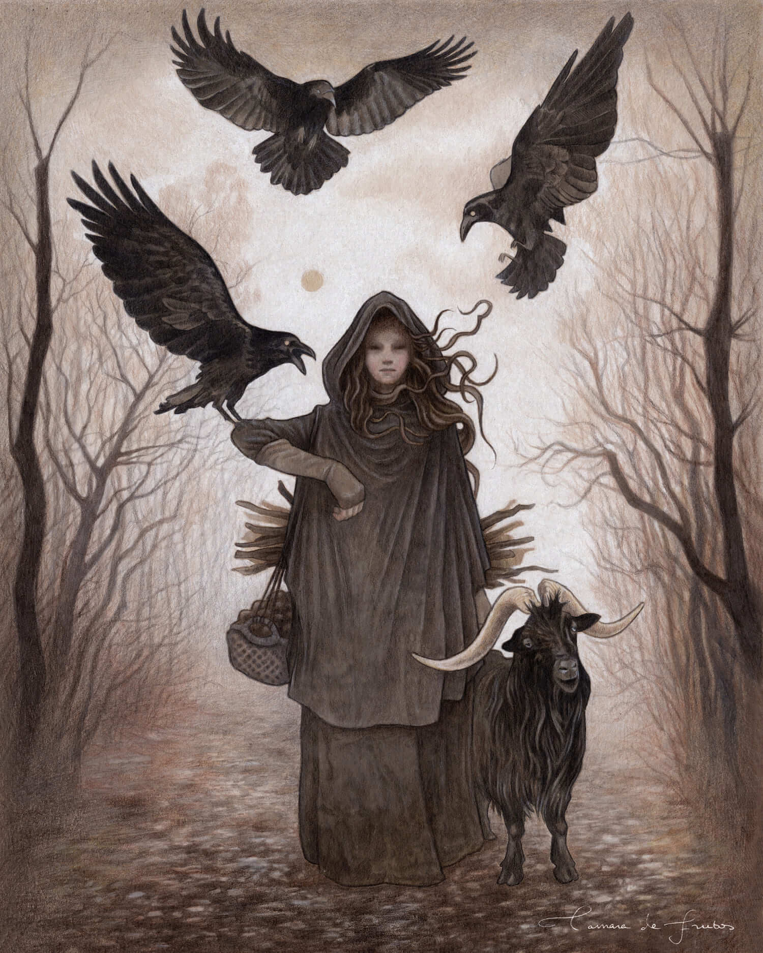 Aparece en las sombras