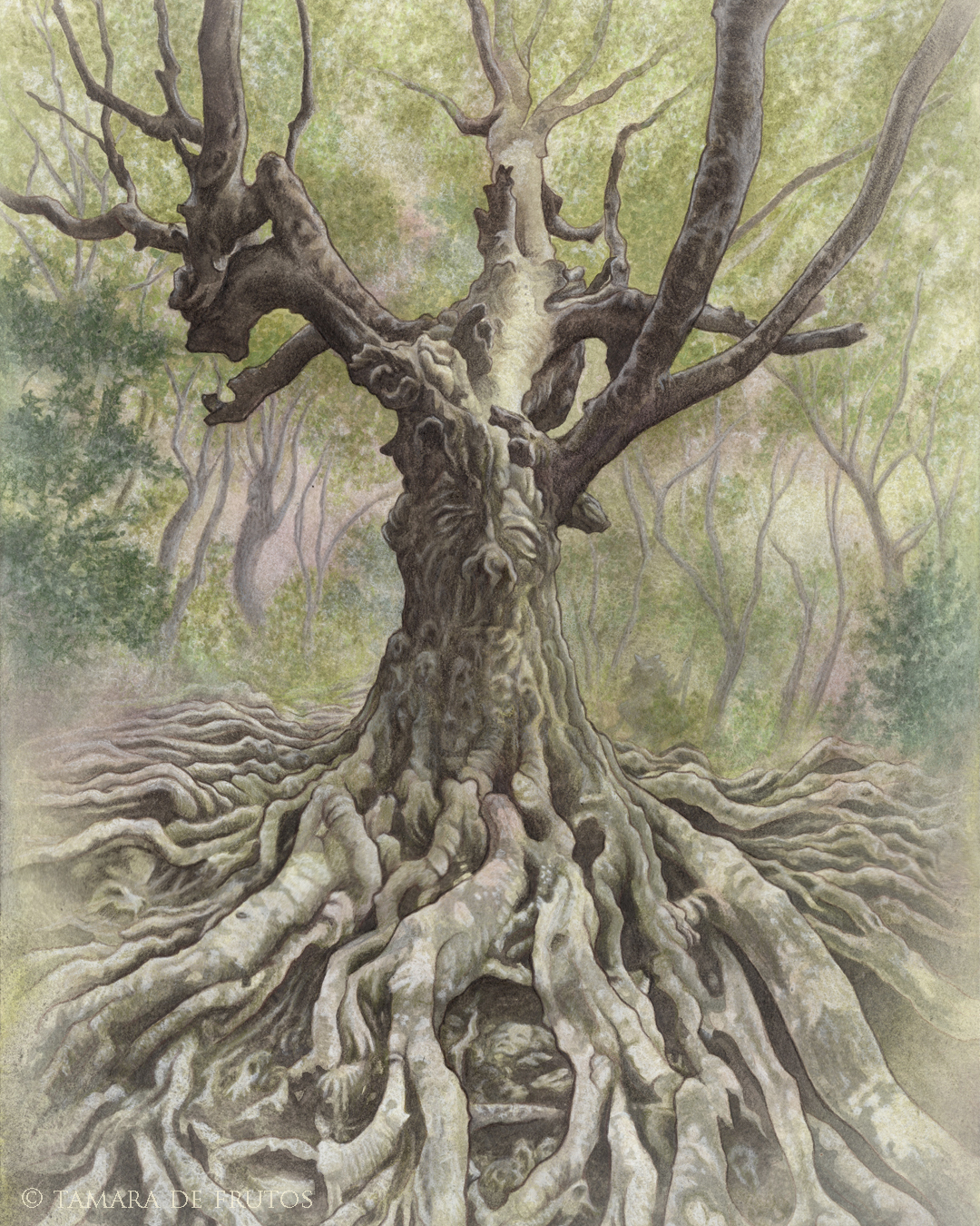 Fago Deo ~ Art Print - Image 4