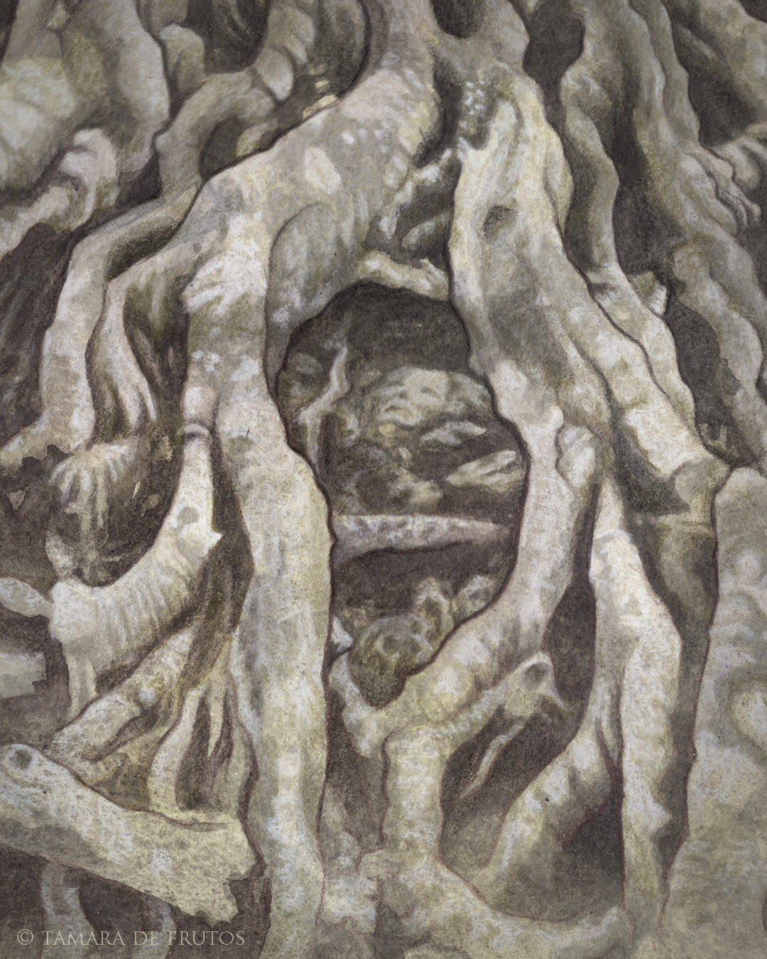 Fago Deo ~ Art Print - Image 5