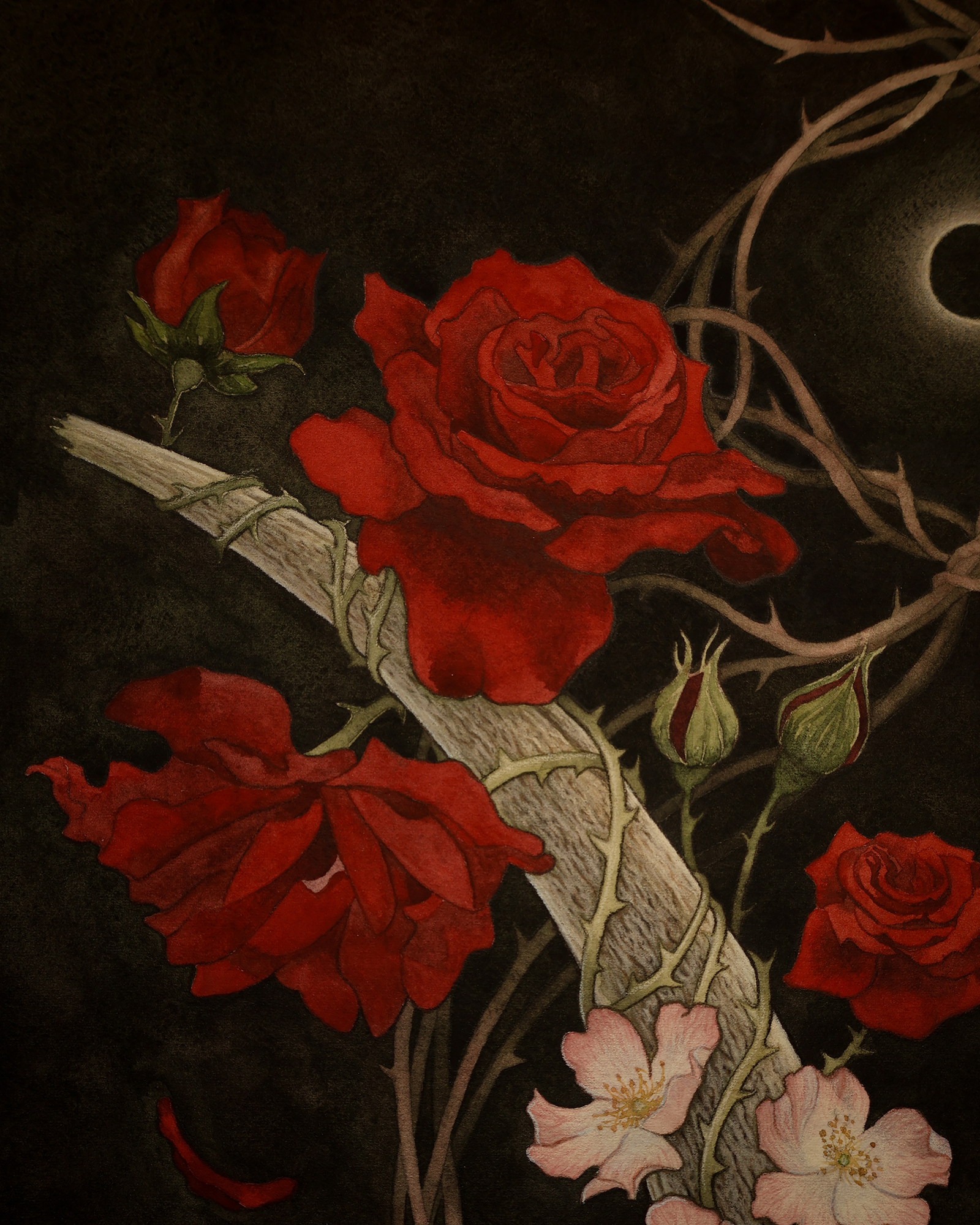 Rosalias - Print - Imagen 6