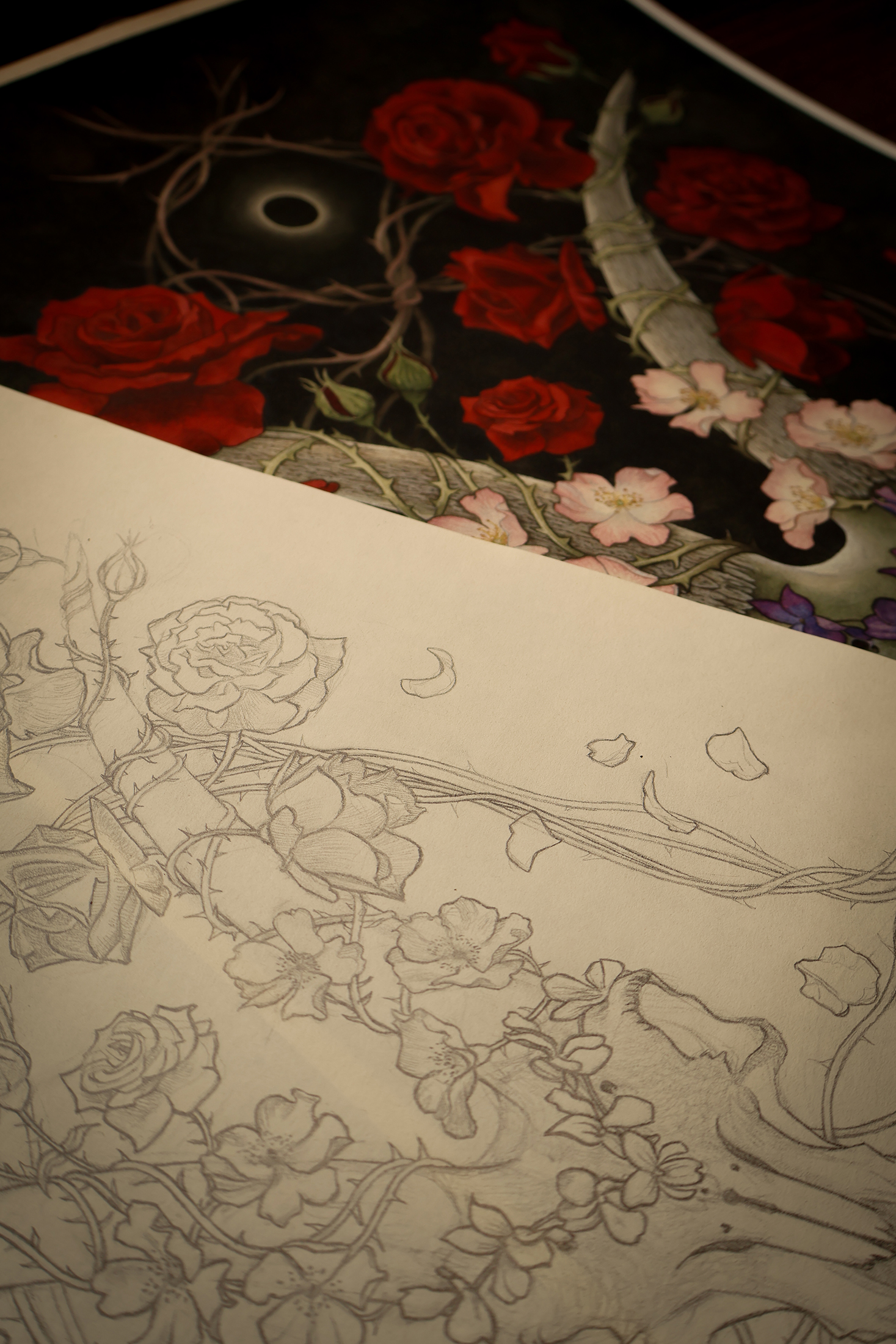 Rosalias - Print - Imagen 7